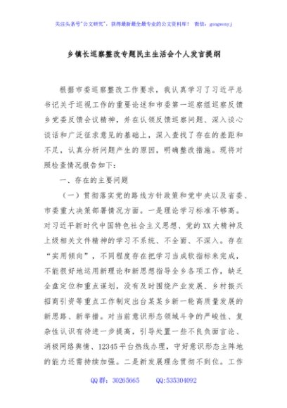 乡镇长巡察整改专题民主生活会个人发言提纲