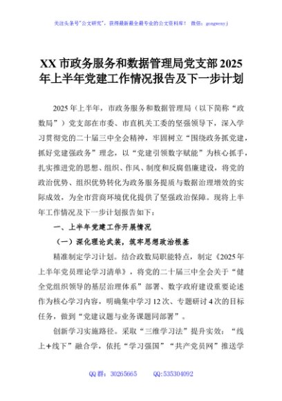 XX市政务服务和数据管理局党支部2025年上半年党建工作情况报告及下一步计划