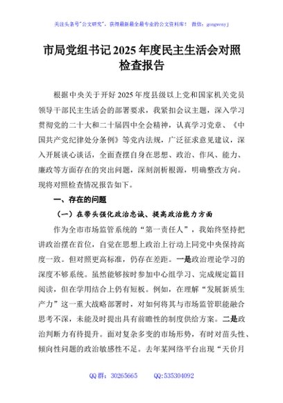 市局党组书记2025年度民主生活会对照检查报告