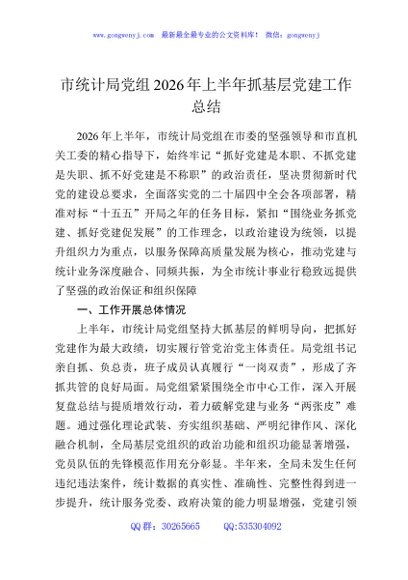 市统计局党组2026年上半年抓基层党建工作总结