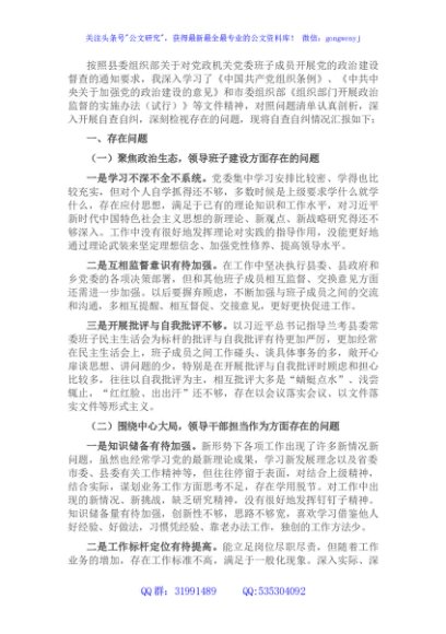 某乡乡长关于党的政治建设自查自纠报告