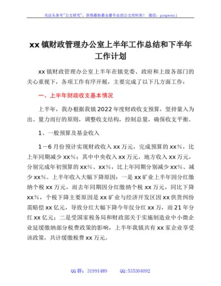 xx镇财政管理办公室上半年工作总结和下半年工作计划