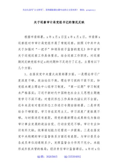 关于巡察审计局党组书记的情况反映