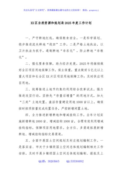 XX区自然资源和规划局2025年度工作计划
