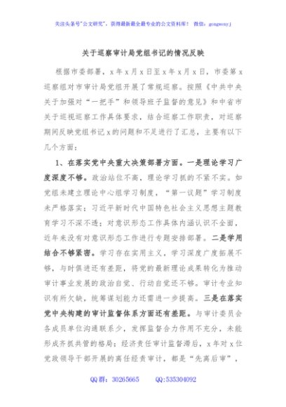 关于巡察审计局党组书记的情况反映