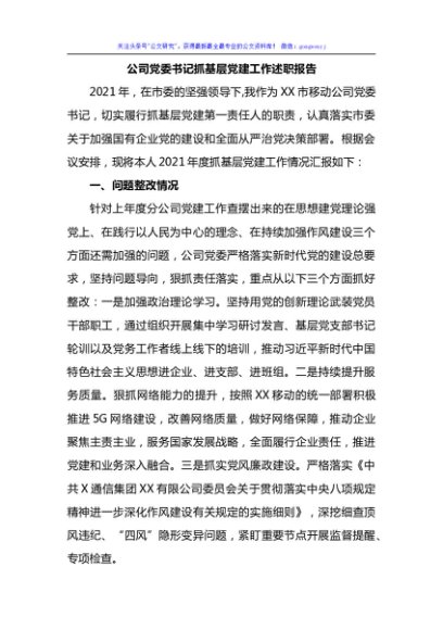 公司党委书记抓基层党建工作述职报告