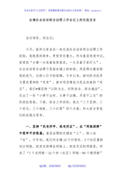 在镇社会治安综合治理工作会议上的交流发言