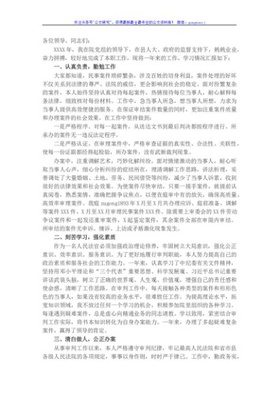 法官个人述职述廉报告