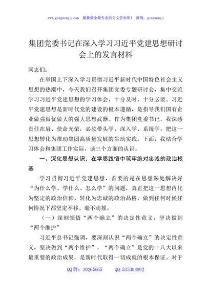 集团党委书记在深入学习习近平党建思想研讨会上的发言材料
