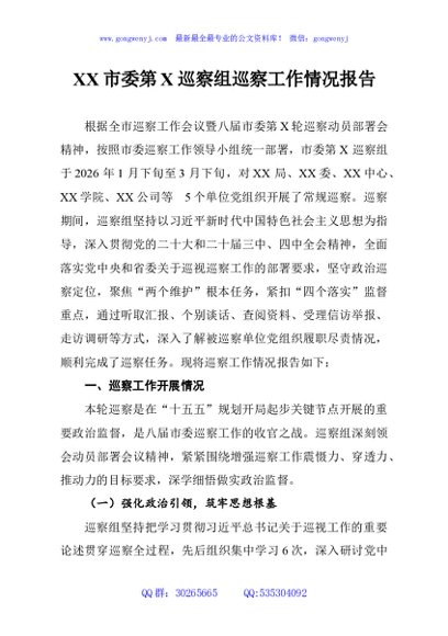 XX市委第X巡察组巡察工作情况报告