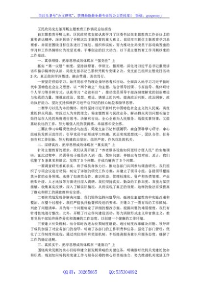 区民政局党支部开展主题教育工作情况总结报告