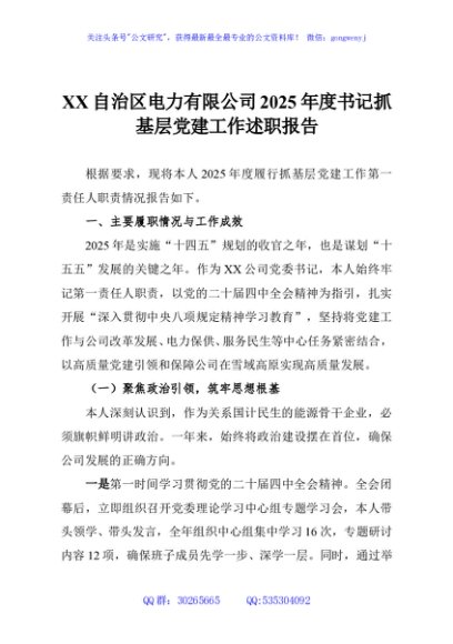 XX自治区电力有限公司2025年度书记抓基层党建工作述职报告