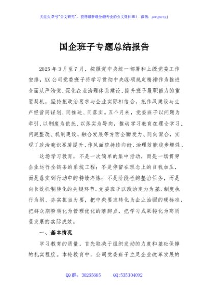 国企班子专题总结报告