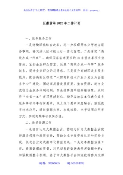 区数管局2025年工作计划