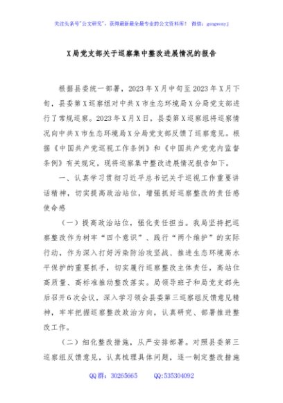 X局党支部关于巡察集中整改进展情况的报告