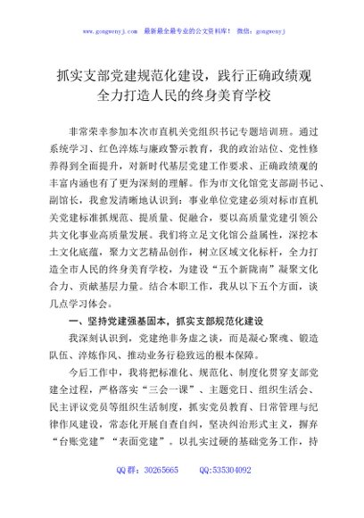 抓实支部党建规范化建设，践行正确政绩观，全力打造人民的终身美育学校