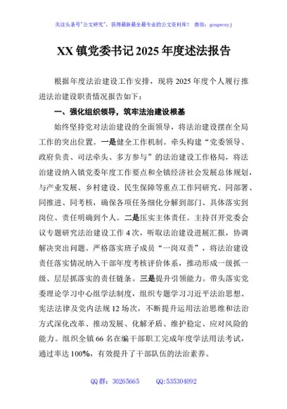 XX镇党委书记2025年度述法报告