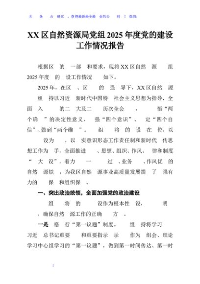XX区自然资源局党组2025年度党的建设工作情况报告