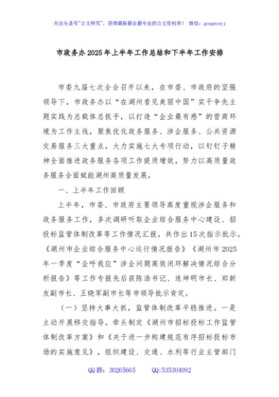 市政务办2025年上半年工作总结和下半年工作安排