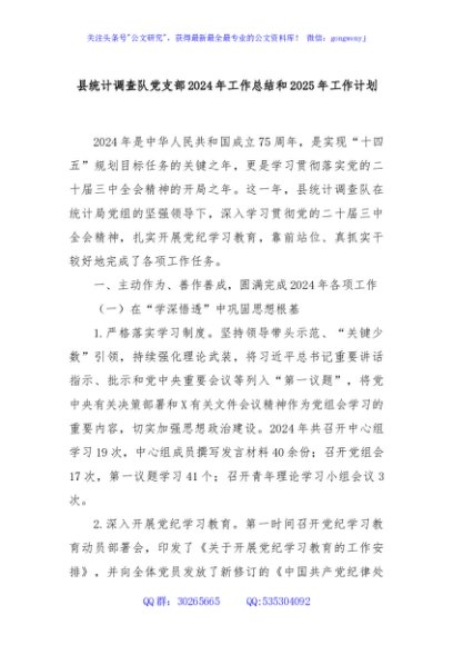 县统计调查队党支部2024年工作总结和2025年工作计划