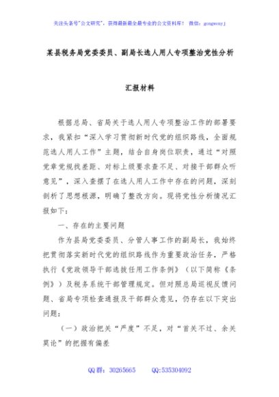 某县税务局党委委员、副局长选人用人专项整治党性分析汇报材料
