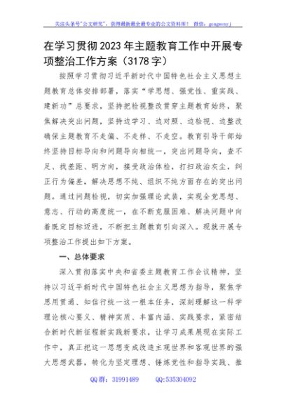 主题教育专项整治工作方案