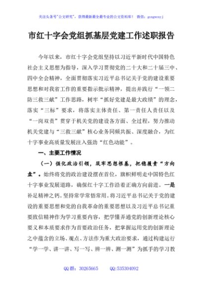 市红十字会党组抓基层党建工作述职报告