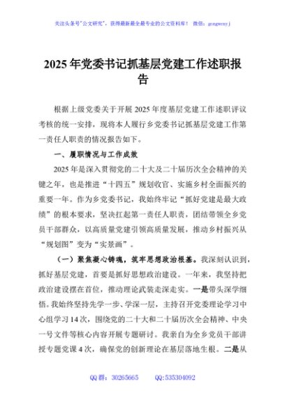 2025年党委书记抓基层党建工作述职报告