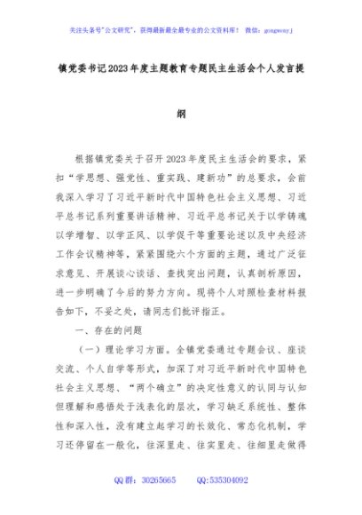 镇党委书记2023年度主题教育专题民主生活会个人发言提纲