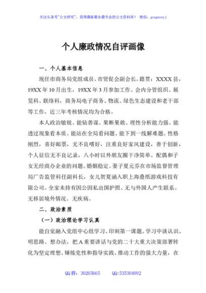 个人廉政情况自评画像