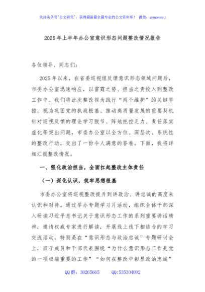 2025年上半年办公室意识形态问题整改情况报告