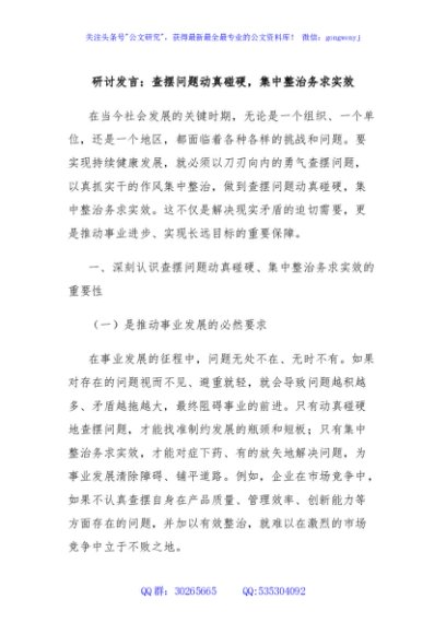 研讨发言：查摆问题动真碰硬，集中整治务求实效