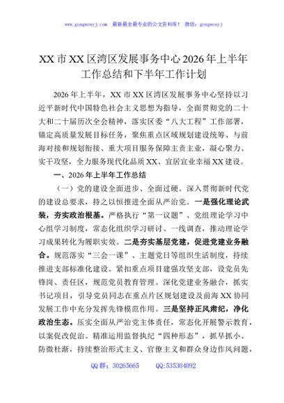 XX市XX区湾区发展事务中心2026年上半年工作总结和下半年工作计划