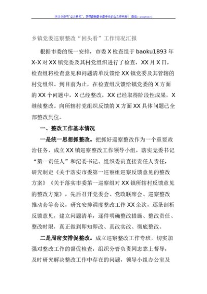 乡镇党委巡察整改“回头看”工作情况汇报