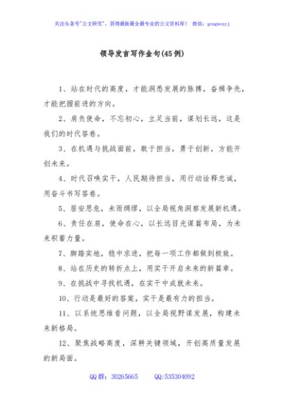 (45例)领导发言写作金句