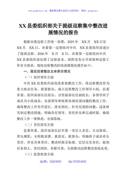 XX县委组织部关于提级巡察集中整改进展情况的报告