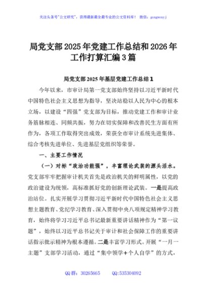 局党支部2025年党建工作总结和2026年工作打算汇编3篇