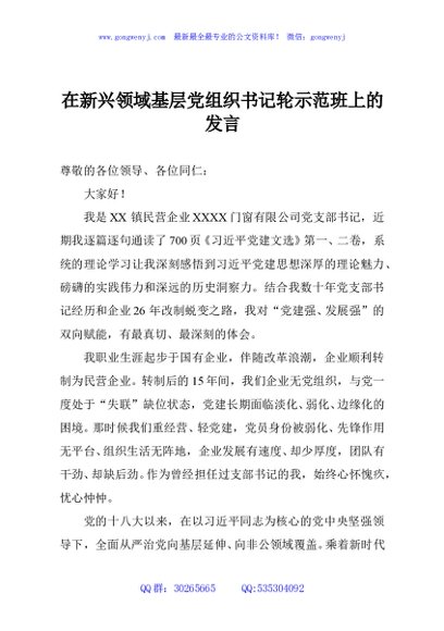 在新兴领域基层党组织书记轮示范班上的发言