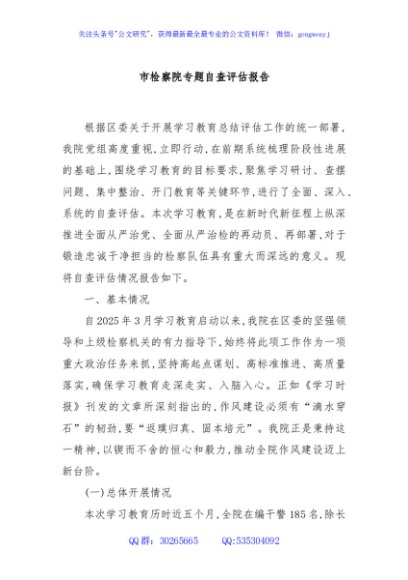 市检察院专题自查评估报告