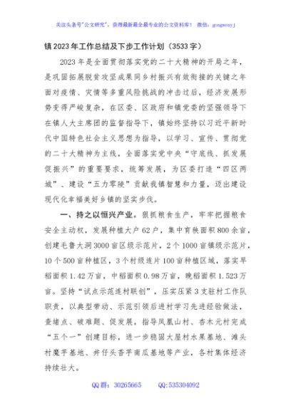 镇2023年工作总结及下步工作计划