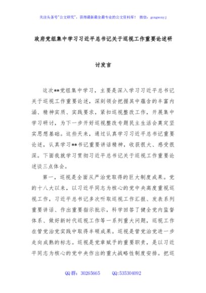 政府党组集中学习习近平总书记关于巡视工作重要论述研讨发言
