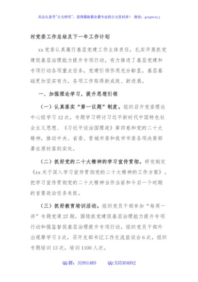 村党委工作总结及下一年工作计划