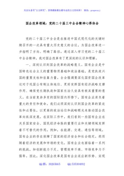 国企改革领域：党的二十届三中全会精神心得体会