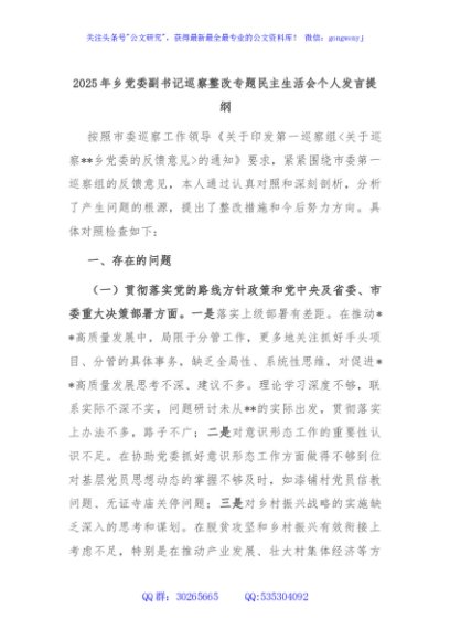 2025年乡党委副书记巡察整改专题民主生活会个人发言提纲
