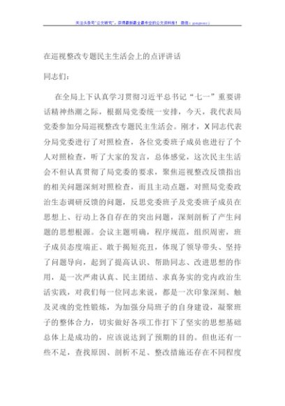 在巡视整改专题民主生活会上的点评讲话