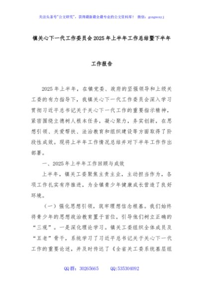镇关心下一代工作委员会2025年上半年工作总结暨下半年工作报告