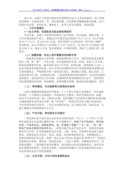 乡镇2021年乡村振兴专项工作汇报