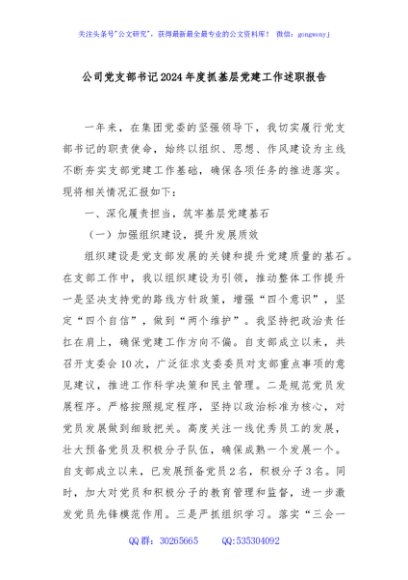 公司党支部书记2024年度抓基层党建工作述职报告