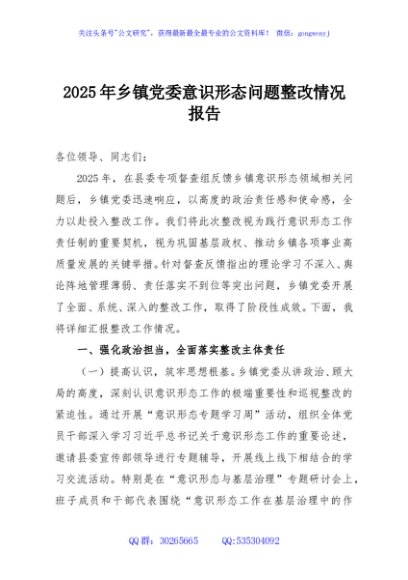 2025年乡镇党委意识形态问题整改情况报告