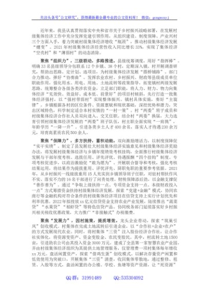 发展村集体经济典型发言